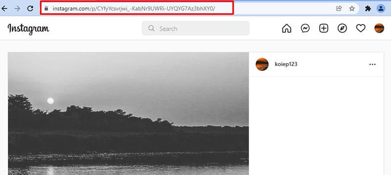 Copy link