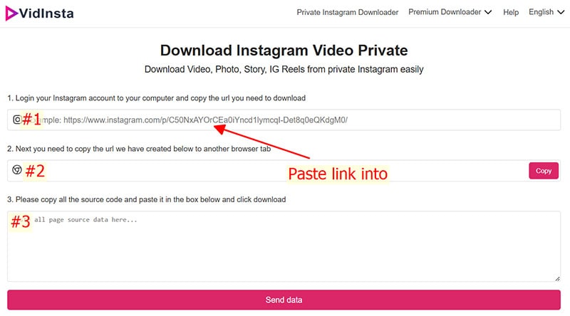 paste link into vidinsta
